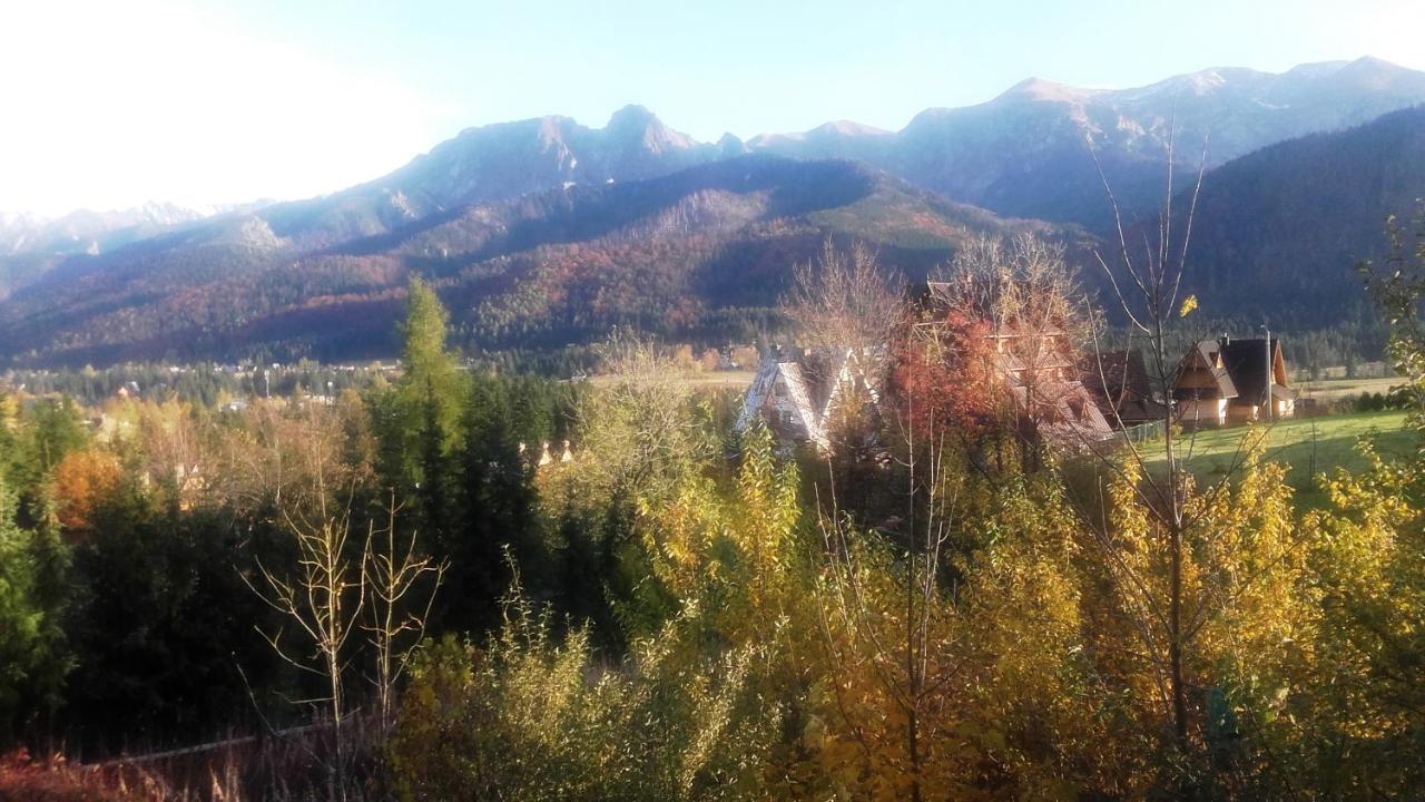 Pokoje Goscinne Koscielisko Az Somatic Exterior foto